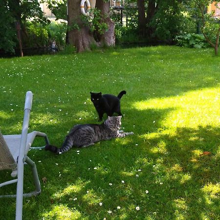 Ferien Am Hegensteinbach Villa Fürstenberg-Havel Kültér fotó