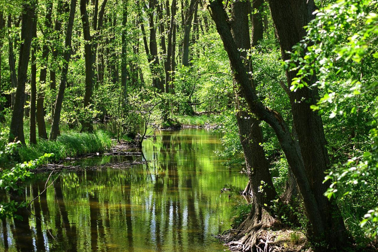 Ferien Am Hegensteinbach Villa Fürstenberg-Havel Kültér fotó